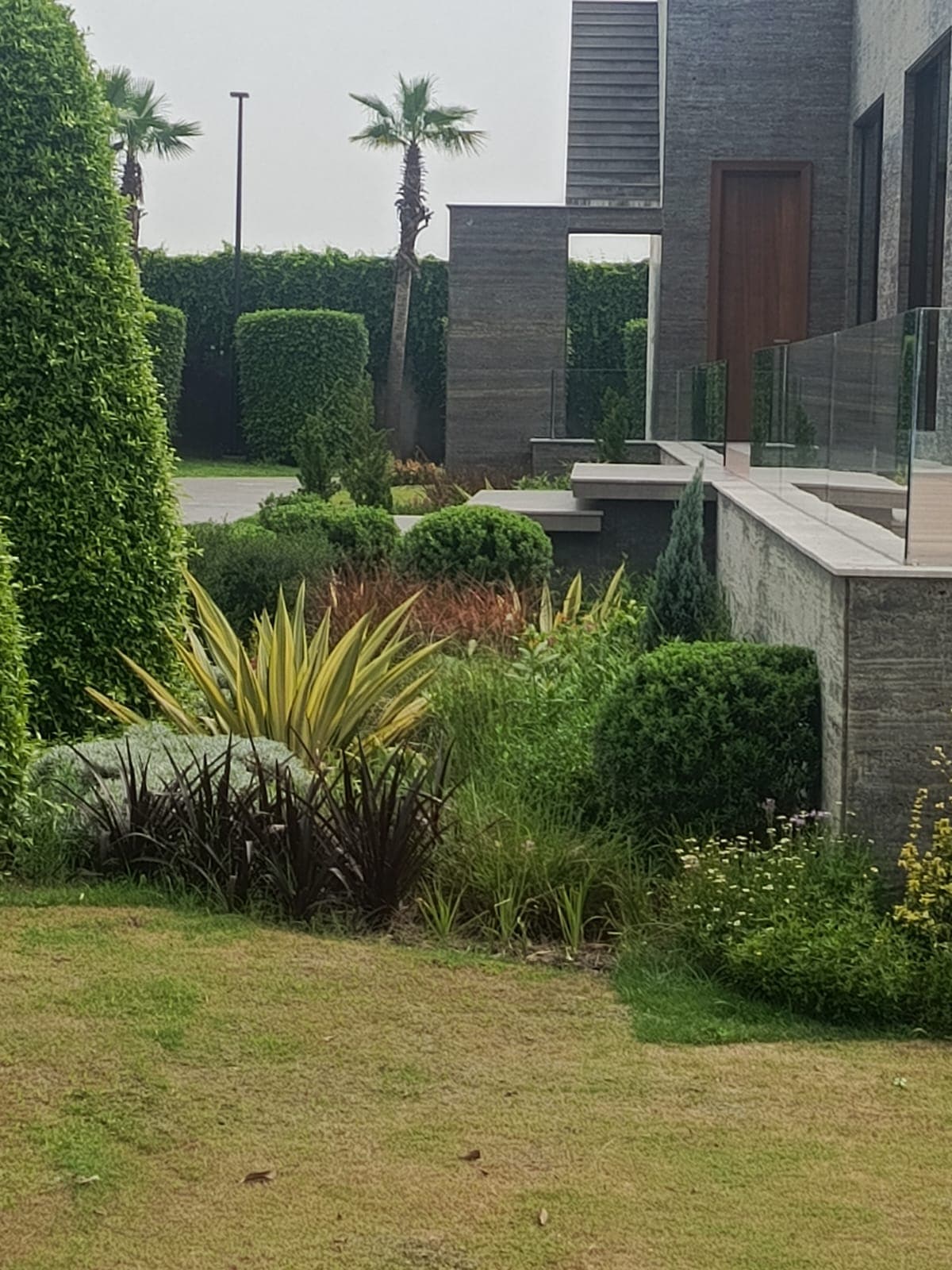 A richly planted garden path with layered flowers and foliage