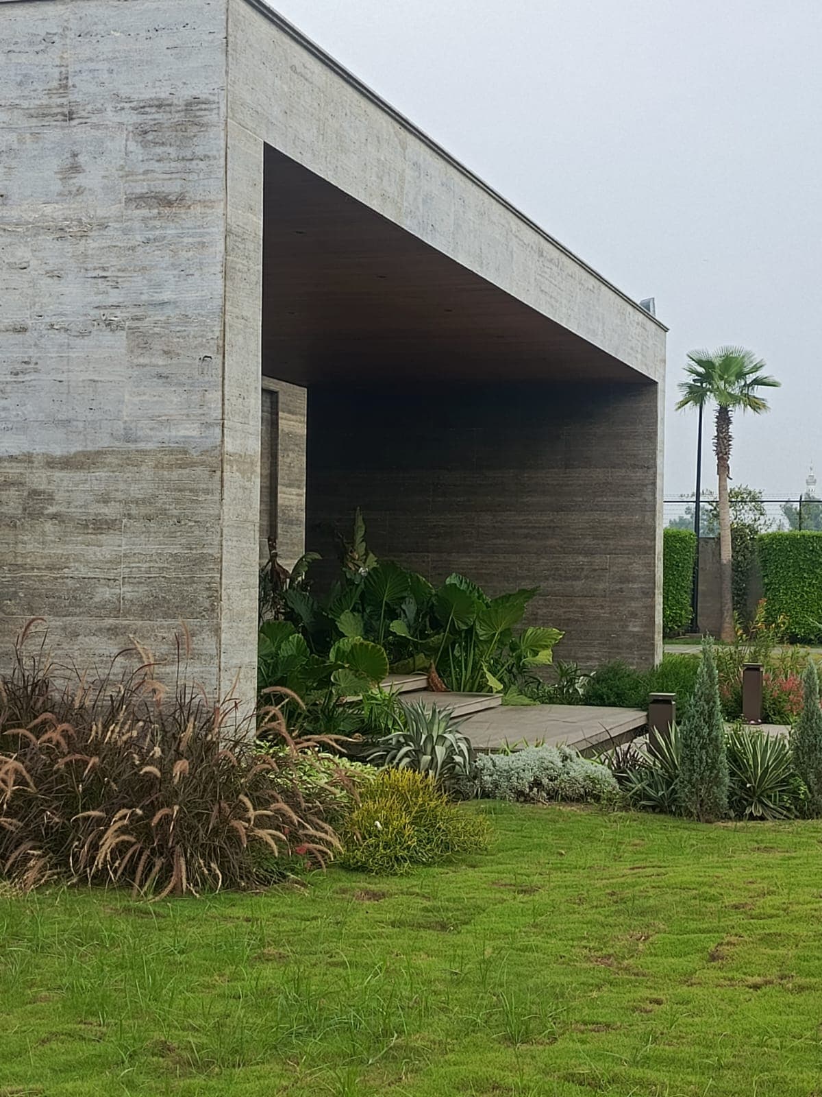 Lush, carefully composed planting around a contemporary outdoor space
